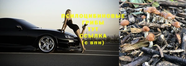 дурь Заволжье