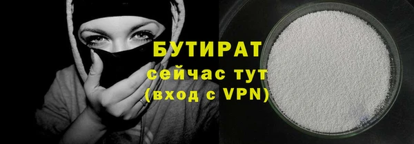 гидра Елизово