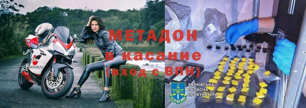гидра Елизово