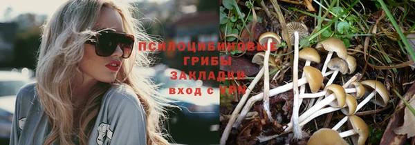 ECSTASY Заволжск