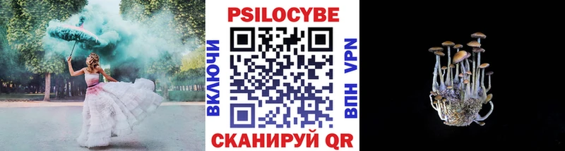 Купить закладки Урус-Мартан Псилоцибиновые грибы GOLDEN TEACHER